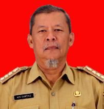 ADE SANTOSO